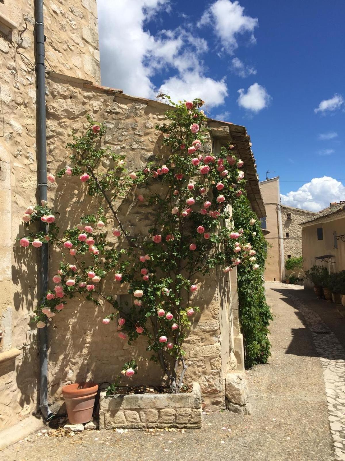 Lovely Views In Secret Provence Жука Екстериор снимка